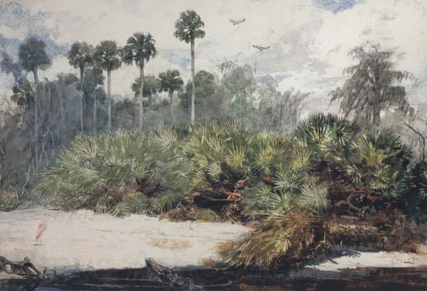 Winslow Homer In a Florida Jungle (mk44)